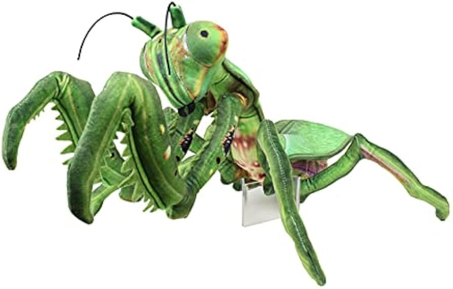 Amazon.co.jp: Taiyo Sangyo Trading SA052 Wild Graphy Plush Mantis